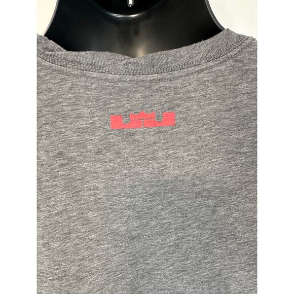 Nike T Shirt LeBron James Lion Special Edition Dri Fit Gray XL - Picture 8 of 10